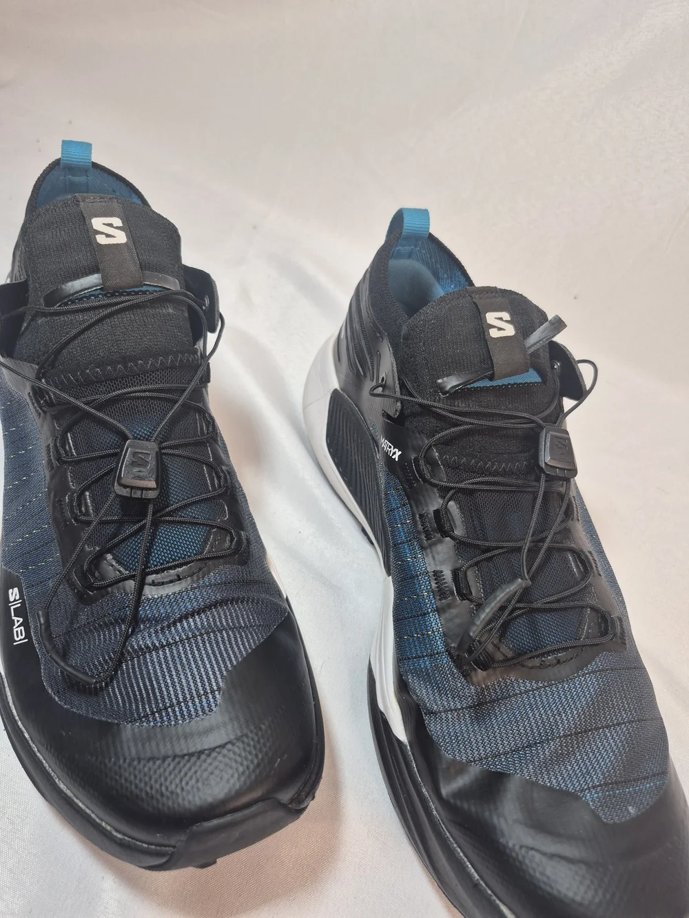 Salomon lab genesis